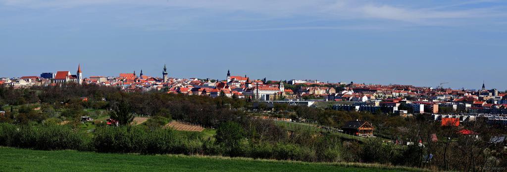 Vas Sklep - Vinny Sklep A Penzion Зноймо Экстерьер фото